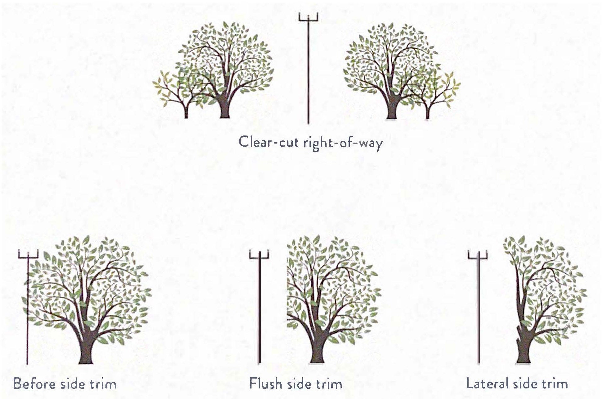 ROWdiagram